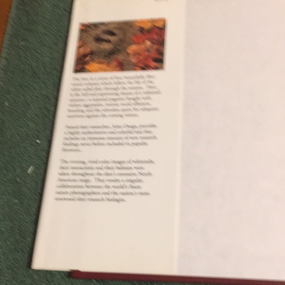 Vintage 1994 “Whitetail Autumn” Hardcover with dust jacket - Picture 3 of 4